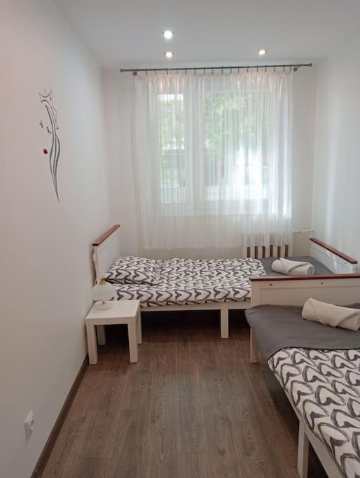Apartament Queen Malbork Eksteriør bilde